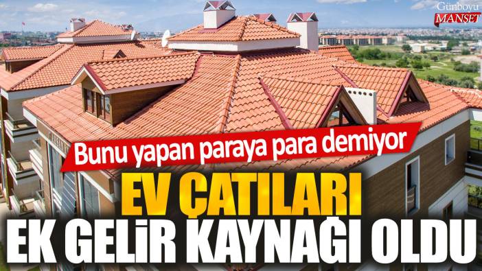 Bunu yapan paraya para demiyor: Ev çatıları ek gelir kaynağı oldu