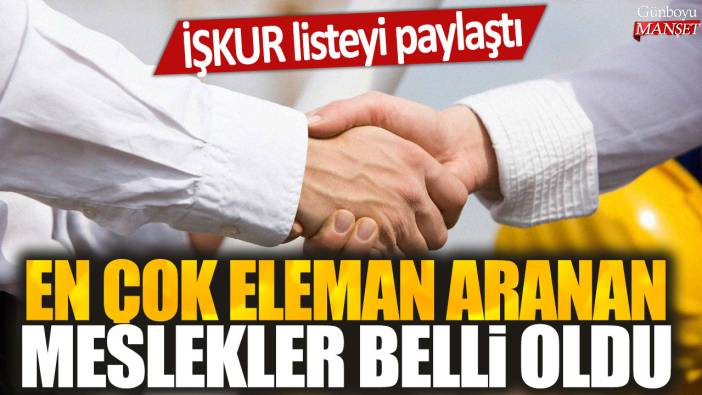 İŞKUR listeyi paylaştı: En çok eleman aranan meslekler belli oldu