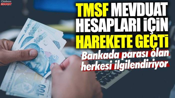 TMSF mevduat hesapları için harekete geçti! Bankada parası olan herkesi ilgilendiriyor