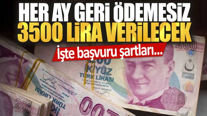 Her ay geri ödemesiz 3500 lira verilecek: İşte başvuru şartları...