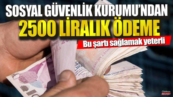 Sosyal Güvenlik Kurumu’ndan 2500 liralık ödeme! Bu şartı sağlamak yeterli