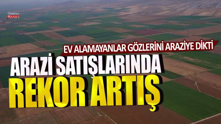 Arsa satışlarında rekor artış: Ev alamayanlar gözlerini araziye dikti