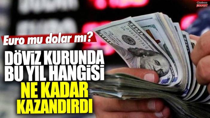 Döviz kurunda bu yıl hangisi ne kadar kazandırdı?  Euro mu dolar mı