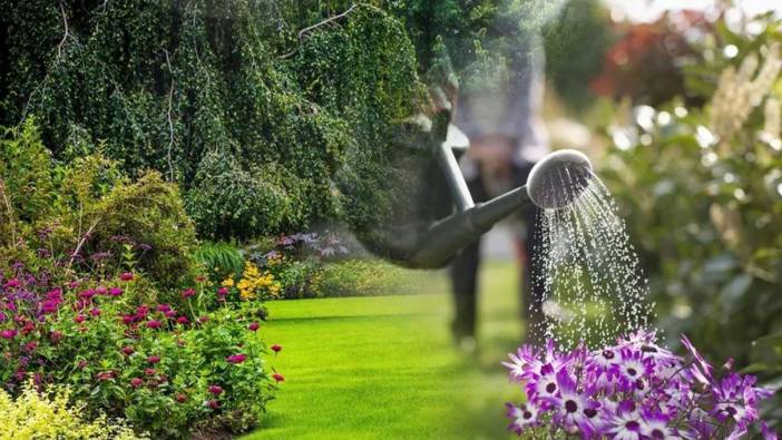 Rüyada çiçek sulamak ne anlama gelir?