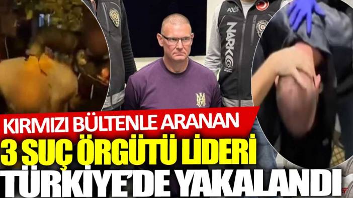 İkisi kırmızı bültenle aranan 3 suç örgütü lideri yakalandı