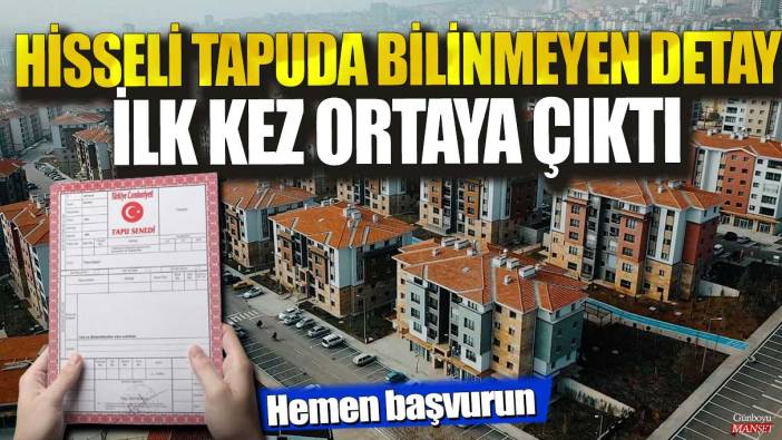 Hisseli tapuda bilinmeyen detay ilk kez ortaya çıktı! Hemen başvurun