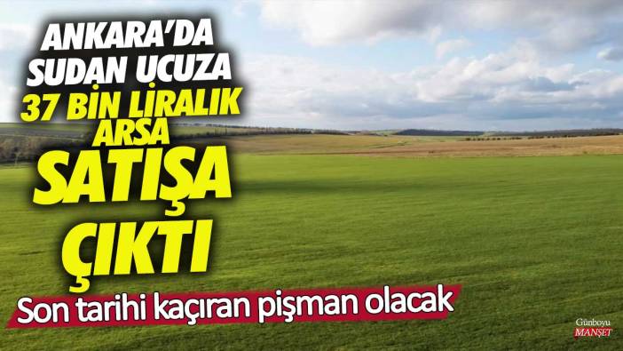 Ankara’da sudan ucuza 37 bin liralık arsa satışa çıktı! Son tarihi kaçıran pişman olacak