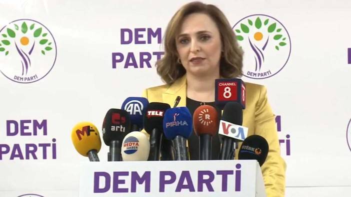 DEM Parti'den flaş yerel seçim kararı! Bu bölgelerde aday çıkaracak