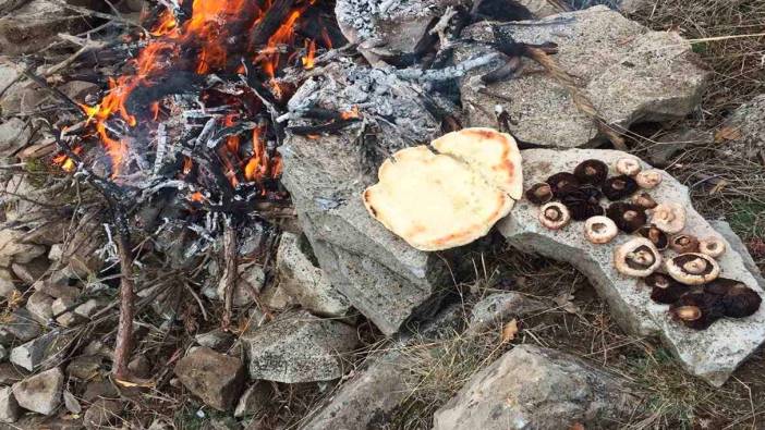 Mantar ziyafeti yarıda kaldı: Patlamayla son buldu