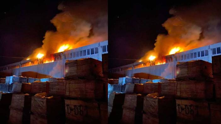 Bilecik'te seramik fabrikasında yangın paniği!