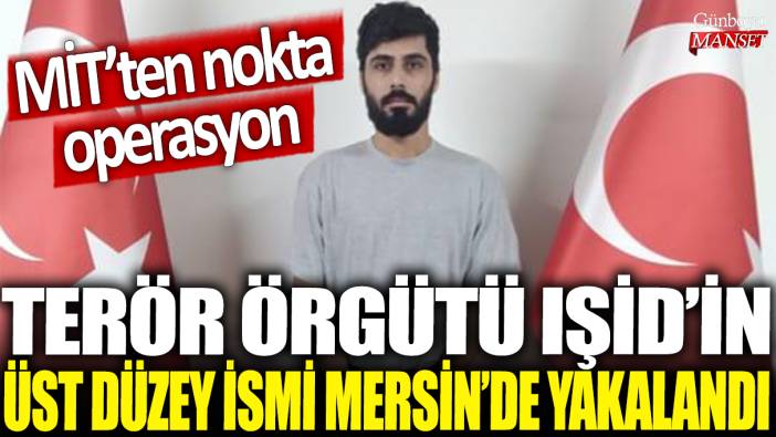 Terör örgütü IŞİD'in üst düzey sorumlusu Mersin'de yakalandı