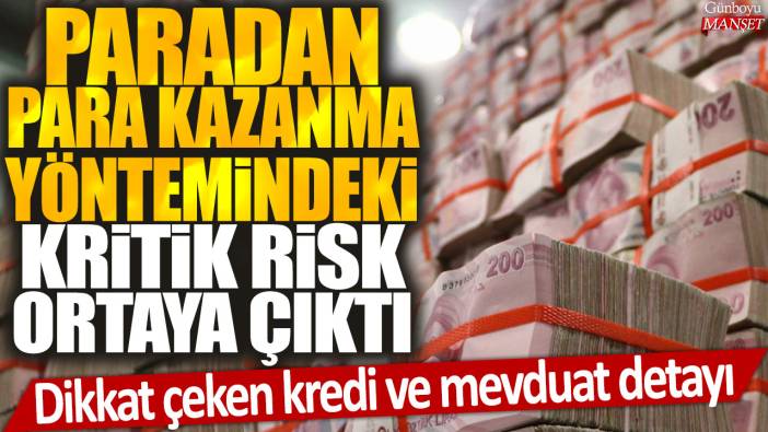 Paradan para kazanma yöntemindeki kritik risk ortaya çıktı: Dikkat çeken kredi ve mevduat detayı