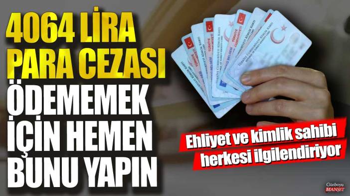 4064 lira para cezası ödememek için hemen bunu yapın! Ehliyet ve kimlik sahibi herkesi ilgilendiriyor