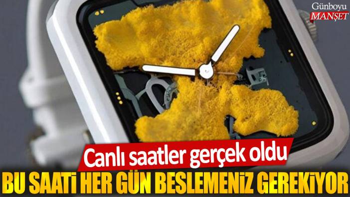 Bu saati her gün beslemeniz gerekiyor! Canlı saatler gerçek oldu