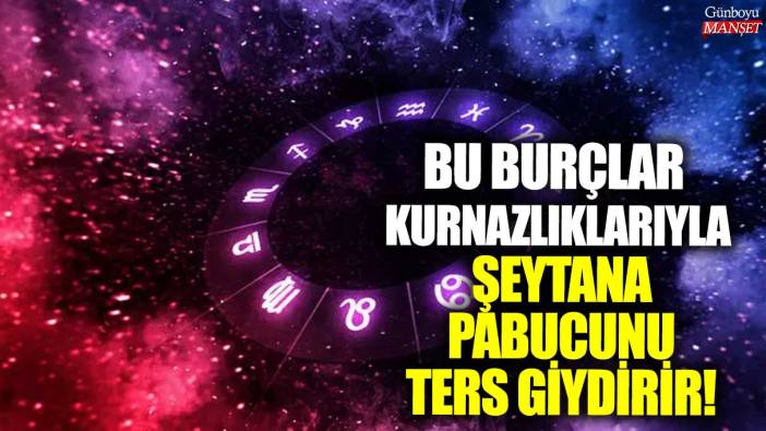 Bu burçlar kurnazlıklarıyla şeytana pabucunu ters giydirir!