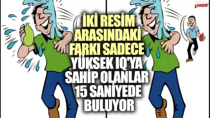 İki resim arasındaki farkı sadece yüksek IQ'ya sahip olanlar 15 saniyede buluyor