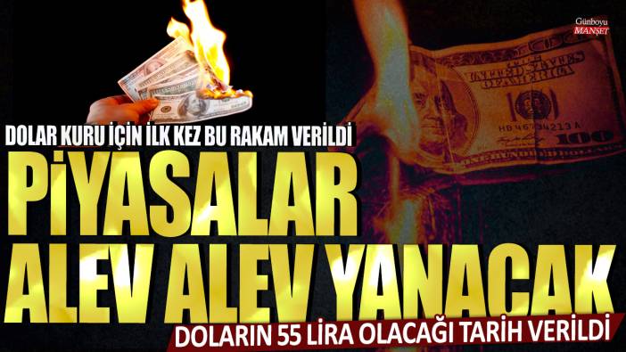 Dolar kuru için ilk kez bu rakam verildi! Piyasalar alev alev yanacak: Doların 55 lira olacağı tarih verildi