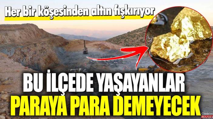 Her bir köşesinden altın fışkırıyor! Bu ilçede yaşayanlar paraya para demeyecek