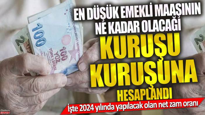 En düşük emekli maaşının ne kadar olacağı kuruşu kuruşuna hesaplandı! İşte 2024 yılında yapılacak olan net zam oranı