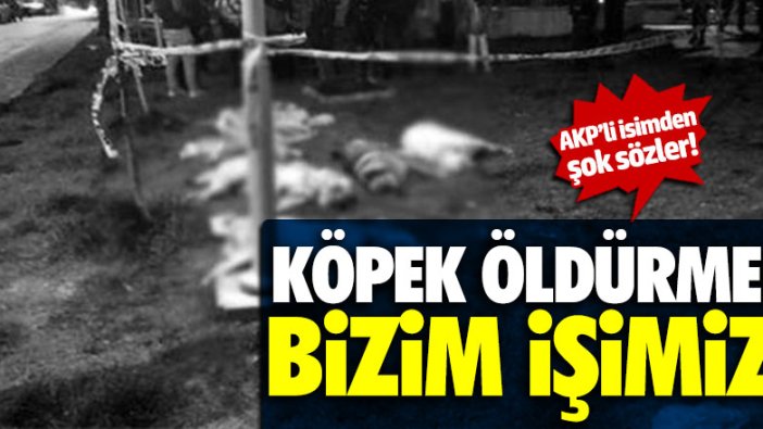 AKP'li Meclis üyesi Karakoç: "Köpek öldürmek bizim işimiz"