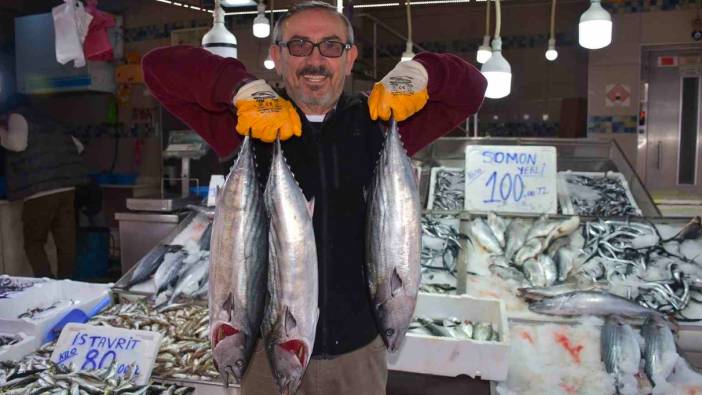 Sinop’ta torikler 500 TL’den satılıyor