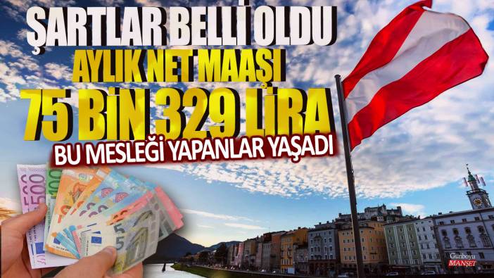 Bu mesleği yapanlar yaşadı: Şartlar belli oldu, Aylık net maaşı 75 bin 329 lira