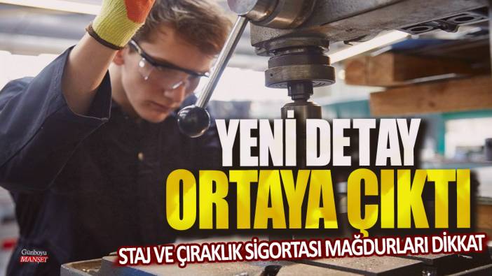 Staj ve Çıraklık sigortası mağdurları dikkat! Yeni detay ortaya çıktı