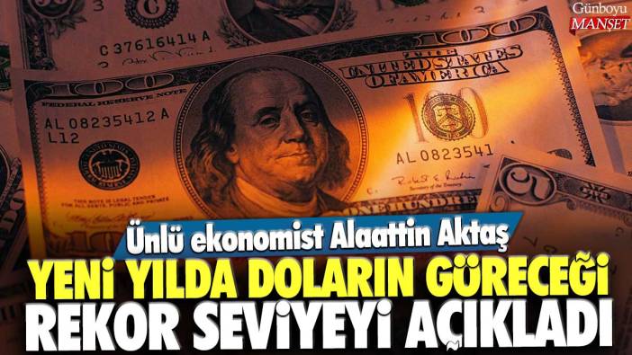 Ünlü ekonomist Alaattin Aktaş yeni yılda doların göreceği rekor seviyeyi açıkladı