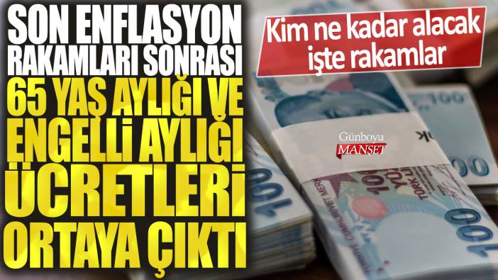 Son enflasyon rakamları sonrası 65 Yaş Aylığı ve Engelli Aylığı Ücretleri ortaya çıktı: Kim ne kadar alacak işte rakamlar..