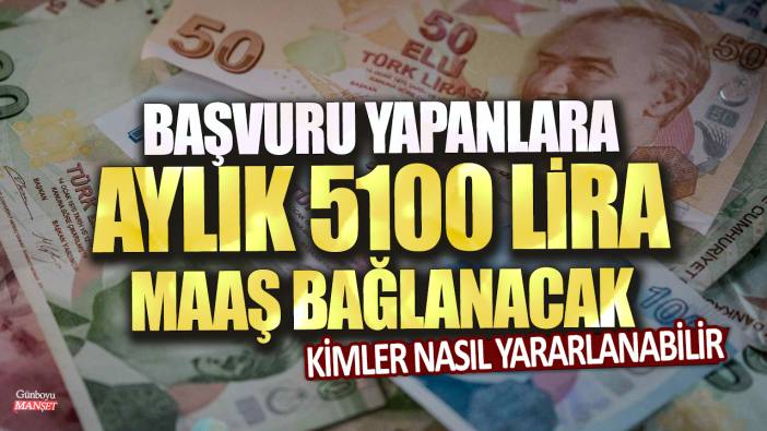 Başvuru yapanlara aylık 5100 lira maaş bağlanacak: Kimler nasıl yararlanabilir?