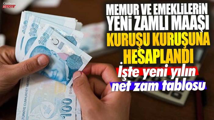 Memur ve emeklilerin yeni zamlı maaşı kuruşu kuruşuna hesaplandı! İşte yeni yılın net zam tablosu