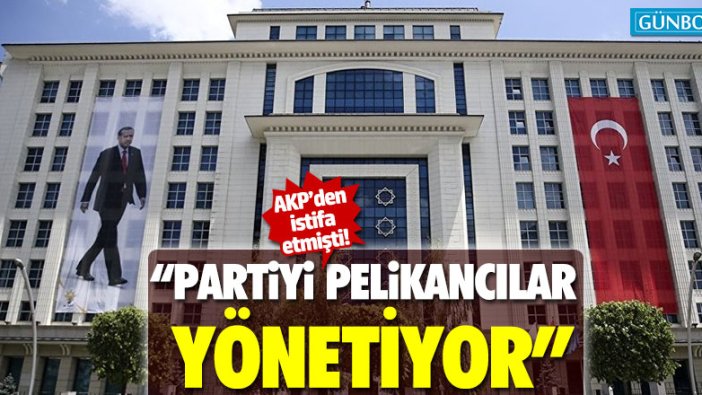 AKP'den istifa eden Ömer Ünal: "Partiyi pelikancılar yönetiyor"