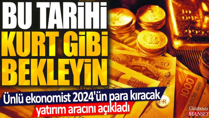 Ünlü ekonomist 2024'ün para kıracak yatırım aracını açıkladı: Bu tarihi kurt gibi bekleyin!