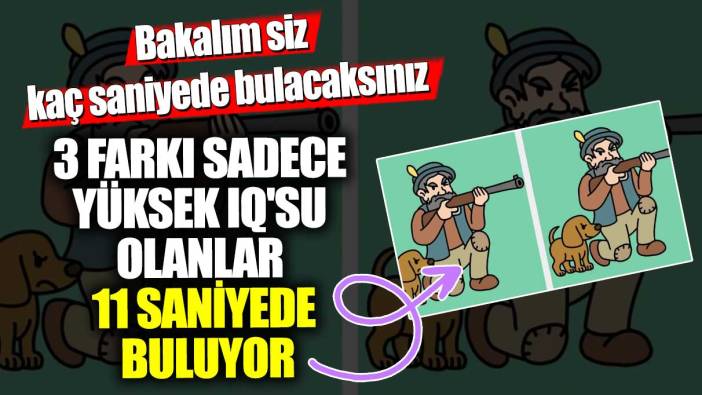 3 farkı sadece yüksek IQ'su olanlar 11 saniyede buluyor! Bakalım siz kaç saniyede bulacaksınız