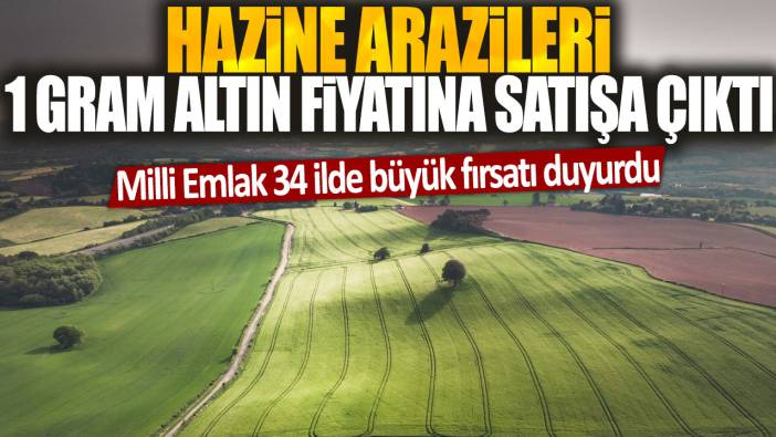 Hazine arazileri 1 gram altın fiyatına satışa çıktı: Milli Emlak 34 ilde büyük fırsatı duyurdu