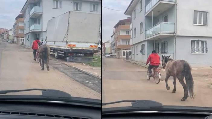 Bursa'da şaşırtan manzara! Atı bisikletiyle taşıdı