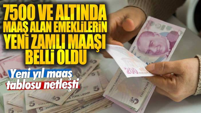 7500 ve altında maaş alan emeklilerin yeni zamlı maaşı belli oldu: Yeni yıl maaş tablosu netleşti