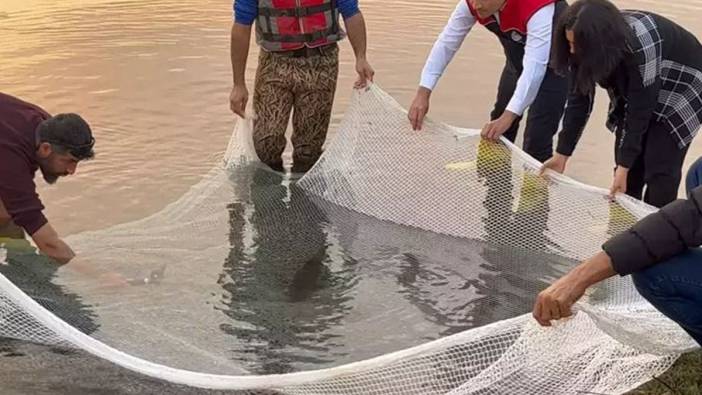 Türk bilim insanlar dünyanın en çok aranan ikinci balığını buldu!