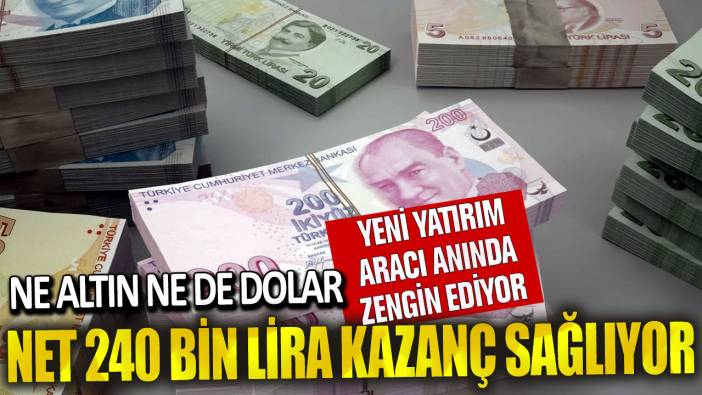 Ne altın ne de dolar! Yeni yatırım aracı anında zengin ediyor: Net 240 bin lira kazanç sağlıyor