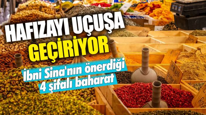 Hafızayı uçuşa geçiriyor: İbni Sina'nın da önerdiği 4 şifalı baharat