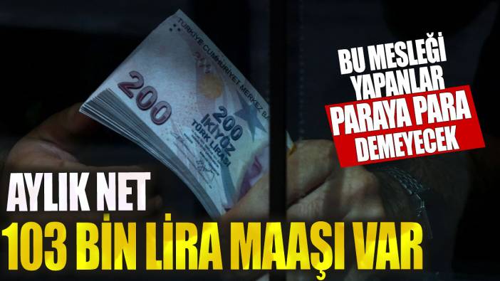 Bu mesleği yapanlar paraya para demeyecek! Aylık net 103 bin lira maaşı var