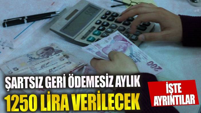 Şartsız geri ödemesiz aylık 1250 lira verilecek! İşte ayrıntılar