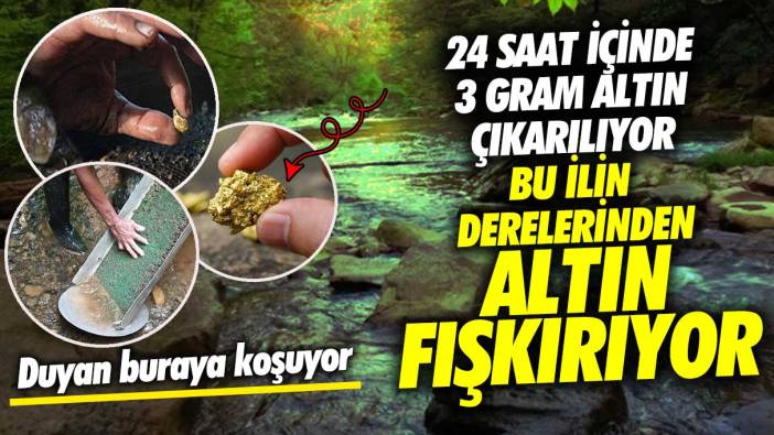 24 saat içinde 3 gram altın çıkarılıyor! Bu ilin derelerinden altın fışkırıyor duyan buraya koşuyor