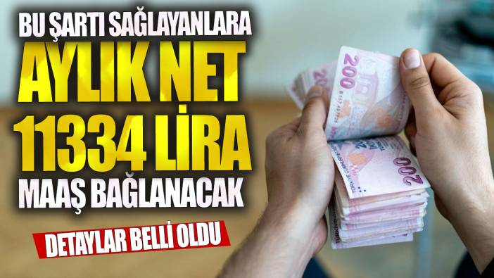 Bu şartı sağlayanlara aylık net 11334 lira maaş bağlanacak! Detaylar belli oldu