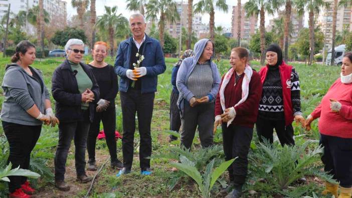 Mezitli’nin kadınları enginar üretiyor