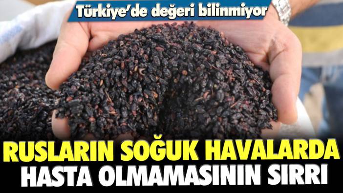 Türkiye'de değeri bilinmiyor: Rusların soğuk havalarda hasta olmamasının sırrı