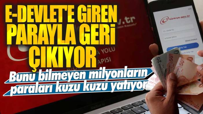 E-Devlet’e tıklayan parayla geri çıkıyor! Bunu bilmeyen milyonların paraları kuzu kuzu yatıyor! Peki paralar nasıl geri alınacak işte cevabı...