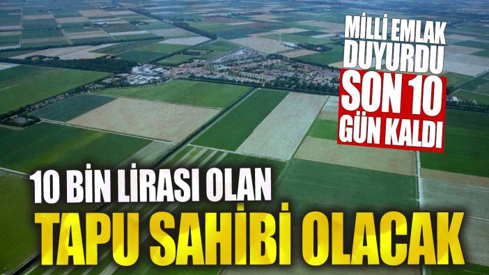 10 bin lirası olan tapu sahibi olacak! Milli Emlak duyurdu son 10 gün kaldı