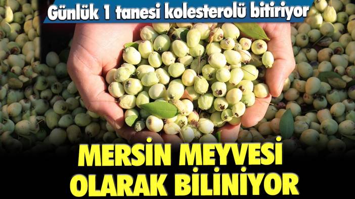 Mersin meyvesi olarak biliniyor: Günlük 1 tanesi kolesterolü bitiriyor