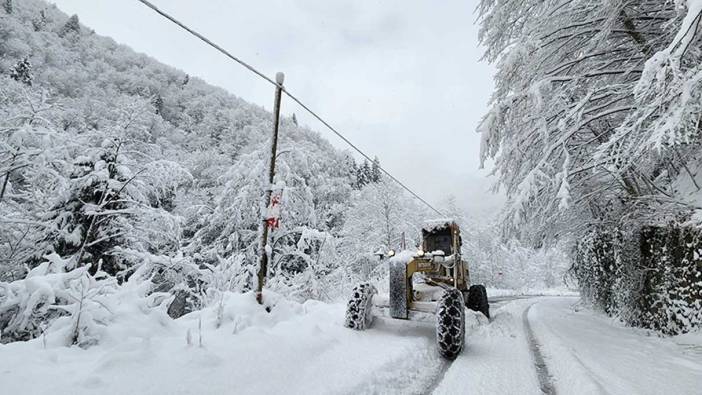 Meteoroloji uyardı! O bölgede kuvvetli kar yağışı bekleniyor